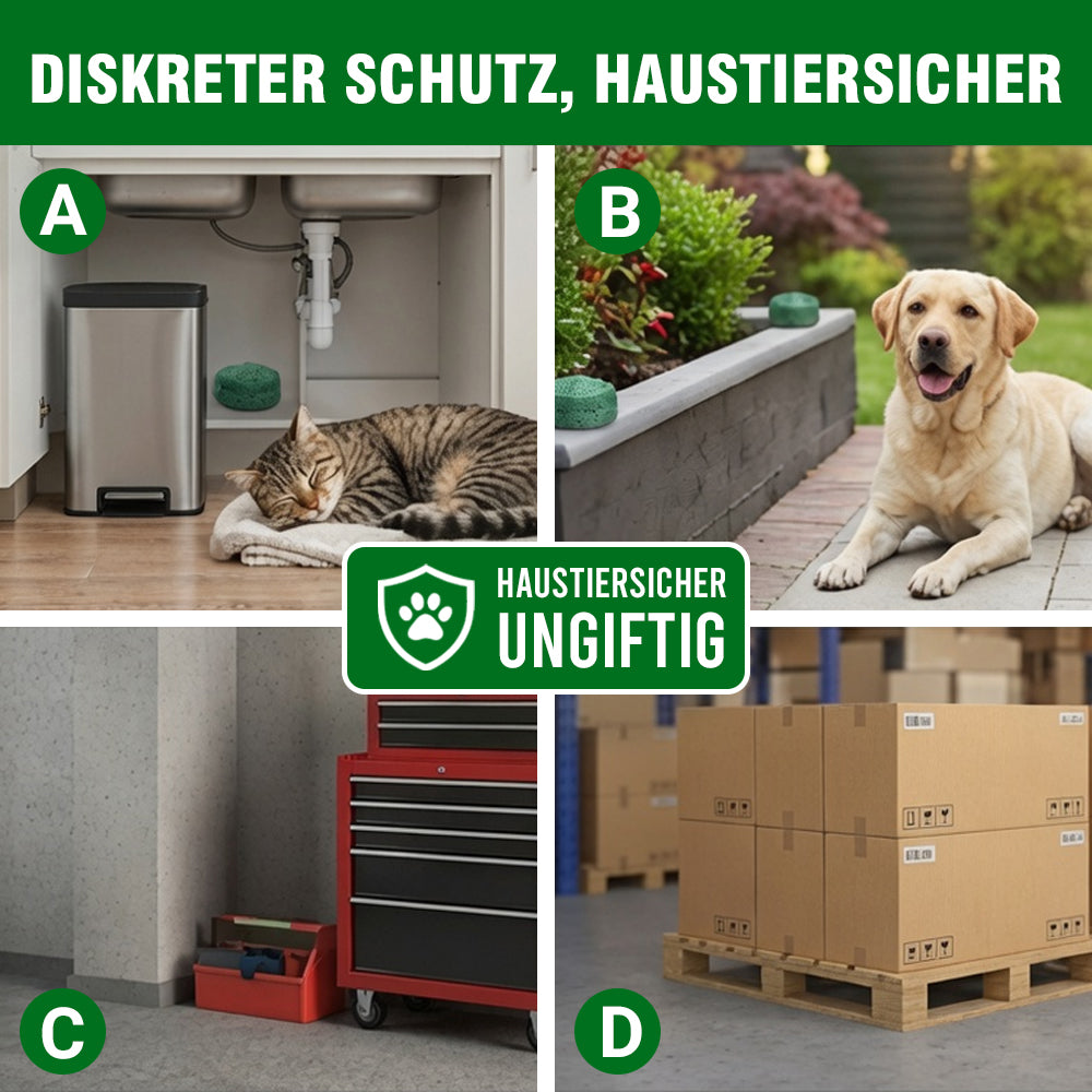 LETZTER TAG: 50% RABATT ✨ 12er-Pack beliebte natürliche Nagetier-Abwehrkugeln, natürliche Schädlingsabwehr 🎁