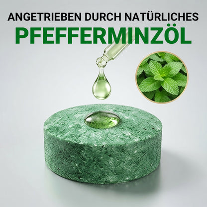 LETZTER TAG: 50% RABATT ✨ 12er-Pack beliebte natürliche Nagetier-Abwehrkugeln, natürliche Schädlingsabwehr 🎁