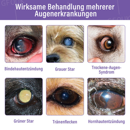 👩‍⚕️ GFOUK® NanoCare Haustier Augentropfen ☑️ Linder bei Bindehautentzündung, trockenen Augen, Katarakten und Keratitis🐱