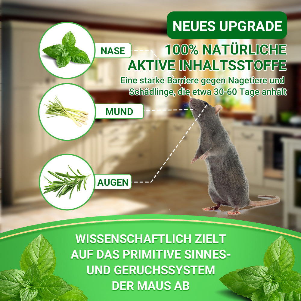 LETZTER TAG: 50% RABATT ✨ 12er-Pack beliebte natürliche Nagetier-Abwehrkugeln, natürliche Schädlingsabwehr 🎁