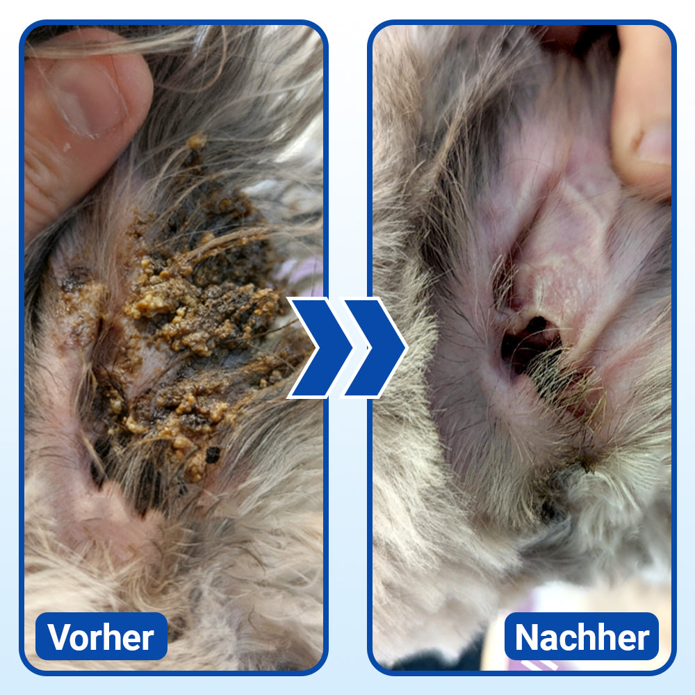 👩‍⚕️ Celsiora® Ohrenreinigungslösung für Haustiere ✅Bekämpft Ohrgeruch, hartnäckige Ohrenschmalzablagerungen, Hefebildung & lästiges Kratzen