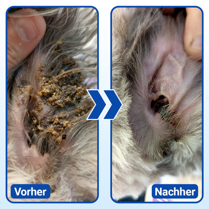 👩‍⚕️ Celsiora® Ohrenreinigungslösung für Haustiere ✅Bekämpft Ohrgeruch, hartnäckige Ohrenschmalzablagerungen, Hefebildung & lästiges Kratzen
