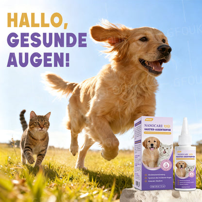 👩‍⚕️ GFOUK® NanoCare Haustier Augentropfen ☑️ Linder bei Bindehautentzündung, trockenen Augen, Katarakten und Keratitis🐱