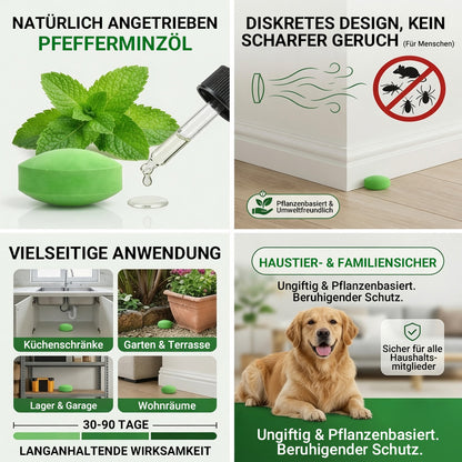 LETZTER TAG: 50% RABATT ✨ 12er-Pack beliebte natürliche Nagetier-Abwehrkugeln, natürliche Schädlingsabwehr 🎁