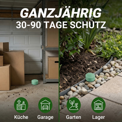 LETZTER TAG: 50% RABATT ✨ 12er-Pack beliebte natürliche Nagetier-Abwehrkugeln, natürliche Schädlingsabwehr 🎁