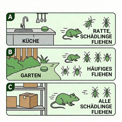 LETZTER TAG: 50% RABATT ✨ 12er-Pack beliebte natürliche Nagetier-Abwehrkugeln, natürliche Schädlingsabwehr 🎁