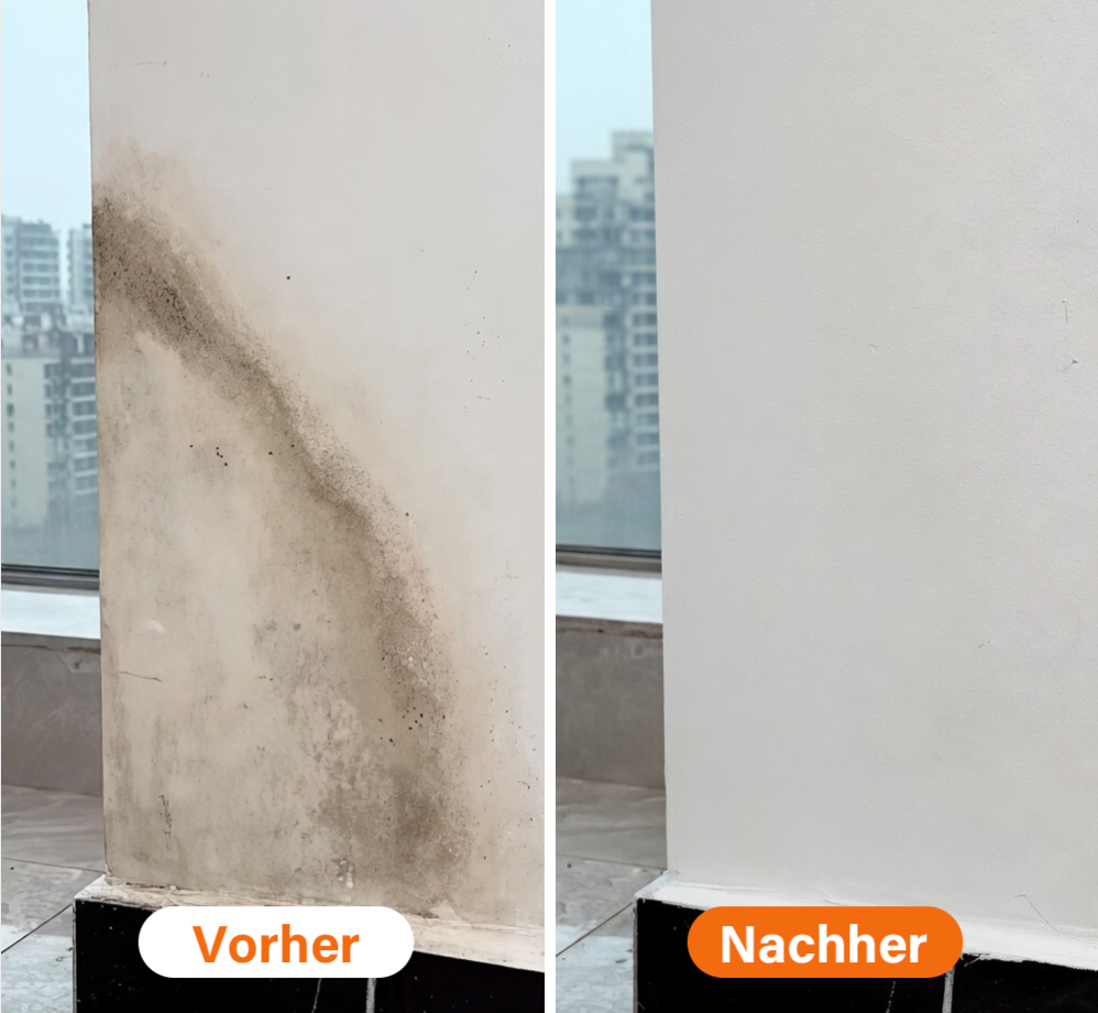 Lovyanocosh® Magischer Reparatur-Roller für Wandfarbe up